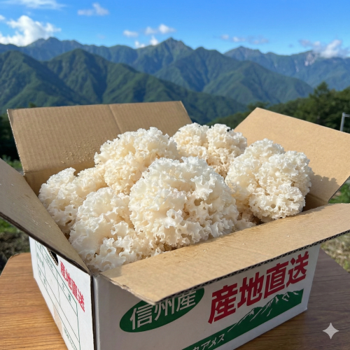 はなびらたけパウダー30g