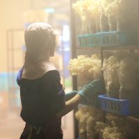 お試し7日分　サプリメント21粒