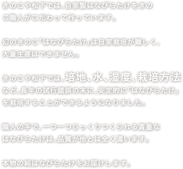 Bグルカン豊富 生はなびらたけ 通販 きのこ栽培45年きのこや松下 はなびらたけ元気