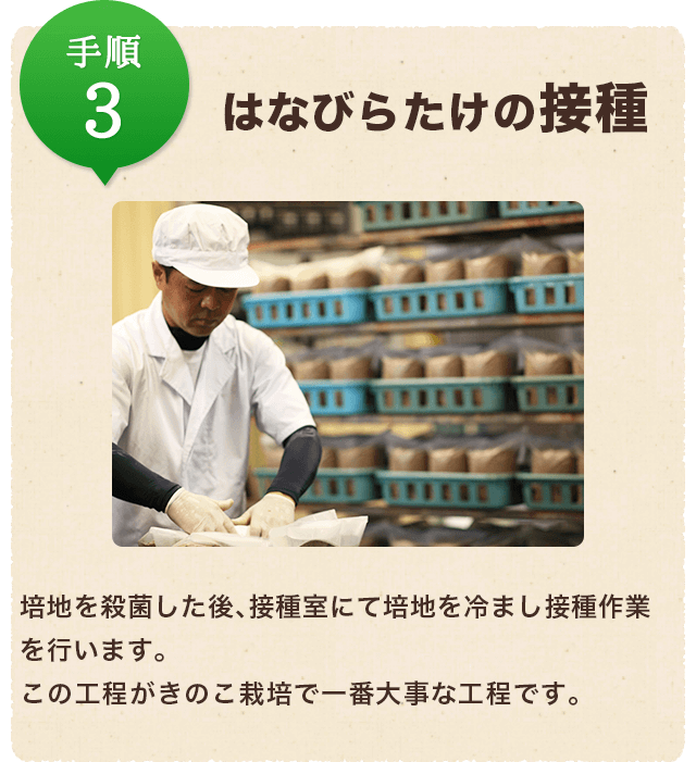 天然ハナビラタケ 山梨県産　1149g　特大 ハナビラタケの通販｜きのこ｜食べチョク｜産地直送(産直)お