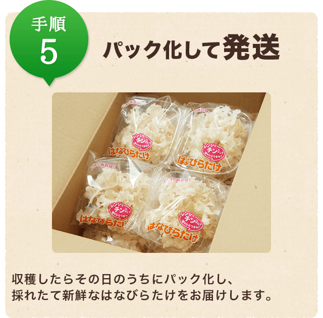 ☆格安☆美容 ハナビラタケ7袋 まとめ買い βグルカン がさつか