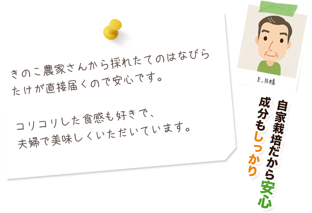 Bグルカン豊富 生はなびらたけ 通販 きのこ栽培45年きのこや松下 はなびらたけ元気