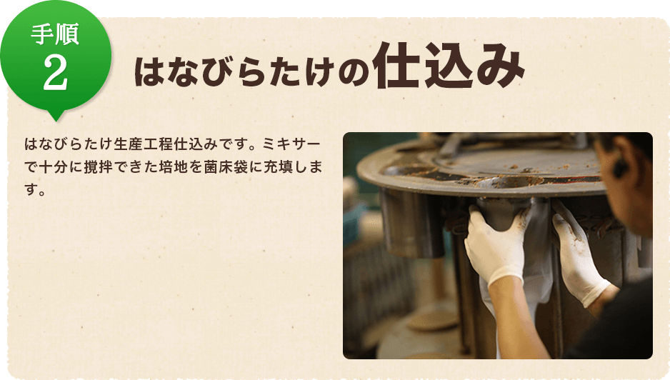 手順2:はなびらたけの仕込み/はなびらたけ生産工程仕込みです。 ミキサーで十分に撹拌できた培地を菌床袋に充填します。