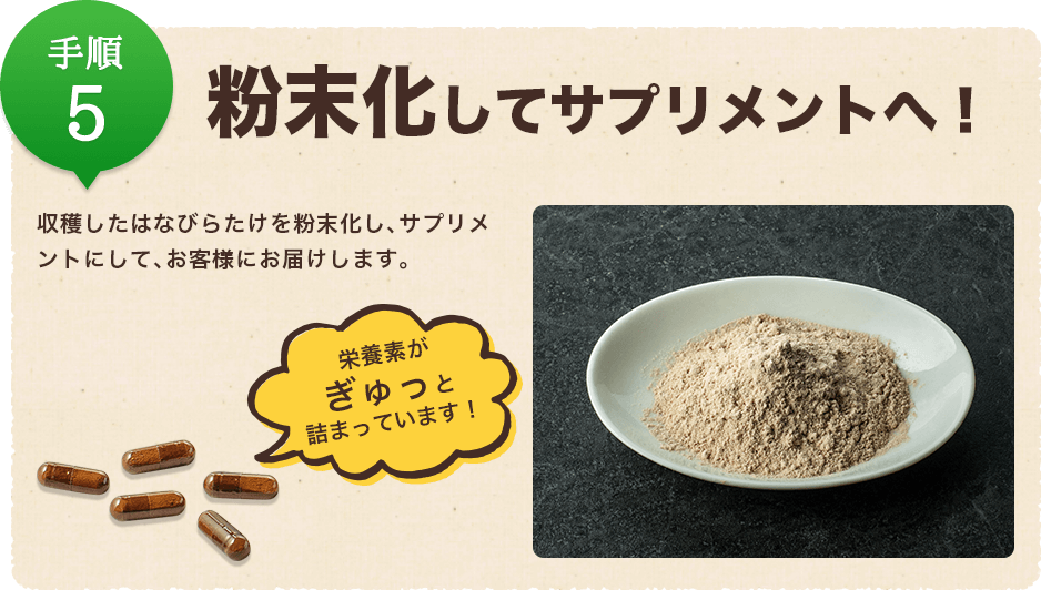 手順5:粉末化してサプリメントへ!/収穫したはなびらたけを粉末化し、サプリメントにして、お客様にお届けします。